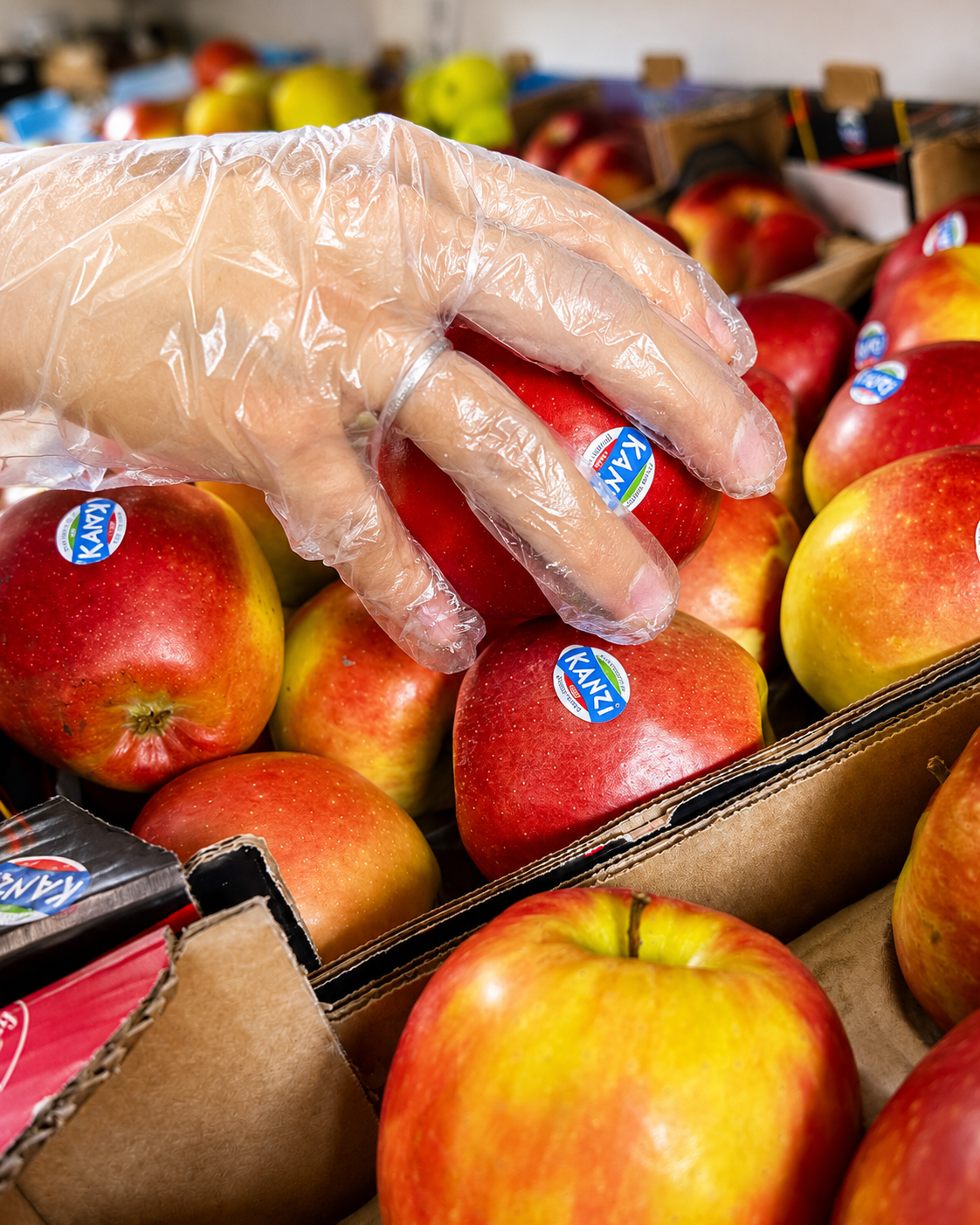 Mano che seleziona una mela Kanzi tra cassette di frutta fresca da Ortofrutta da Maria